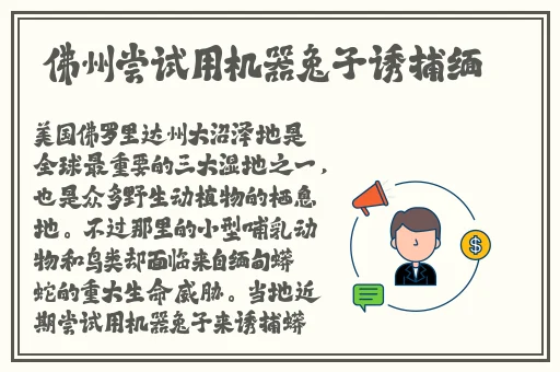 艾琳诗篇平民